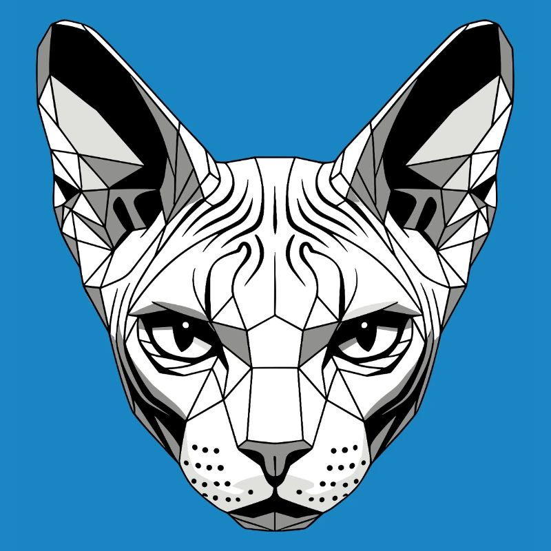 Sphynx Chat Sphynx Chat Chat Canadien Sphinx mignon