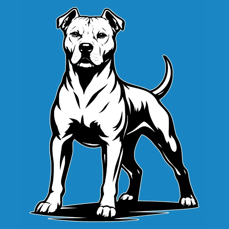 Pitbull in stolzer Pose