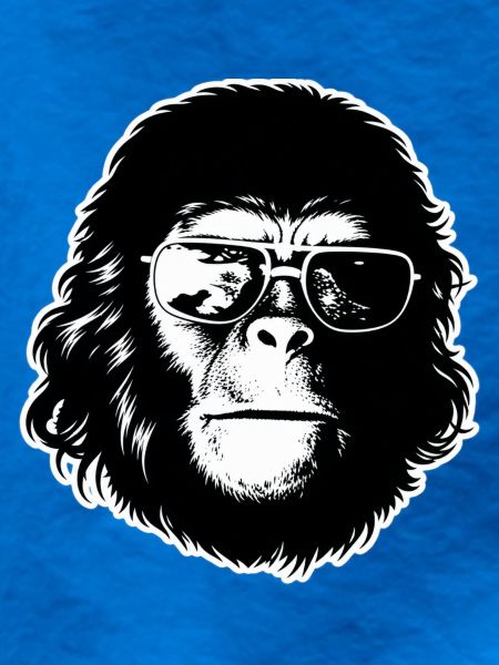 Cool Chimp