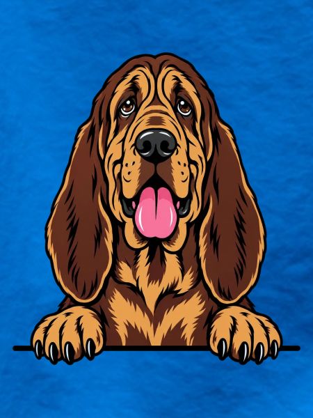 Bloodhound