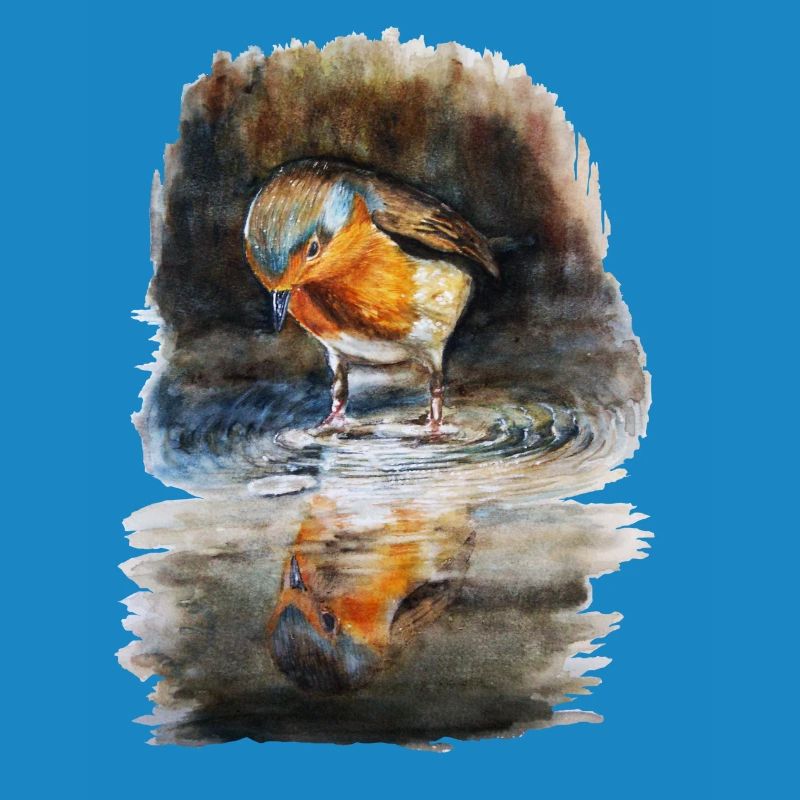 robin