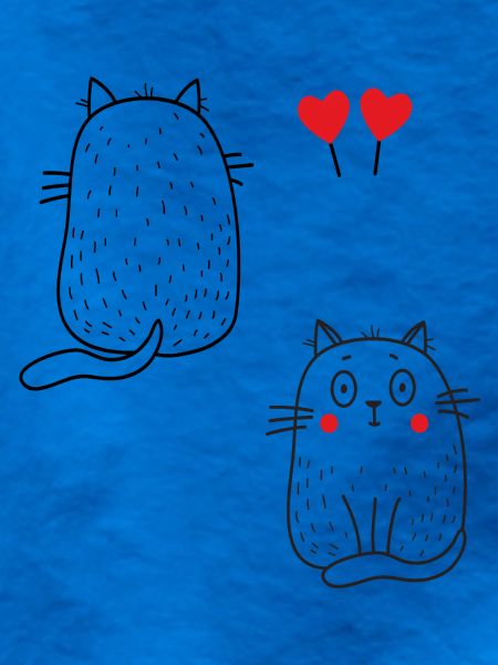 coole Katzen