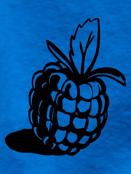 Himbeere Design klassisch