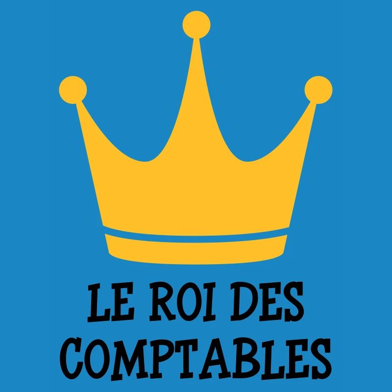 Accountant / Accounting / Comptable / Comptabilité