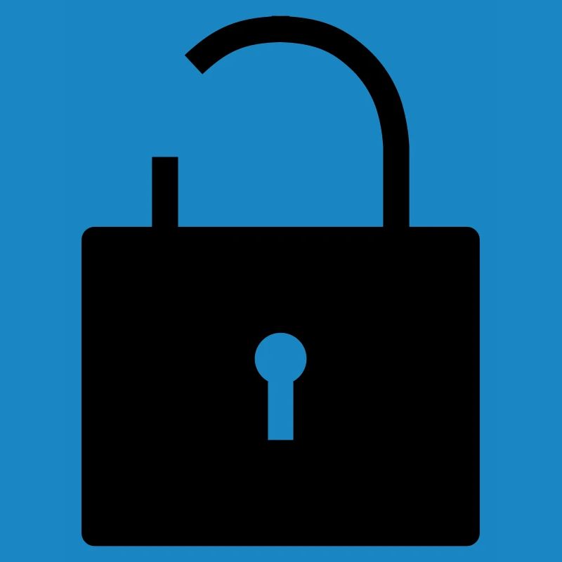 No security no security open lock lock
