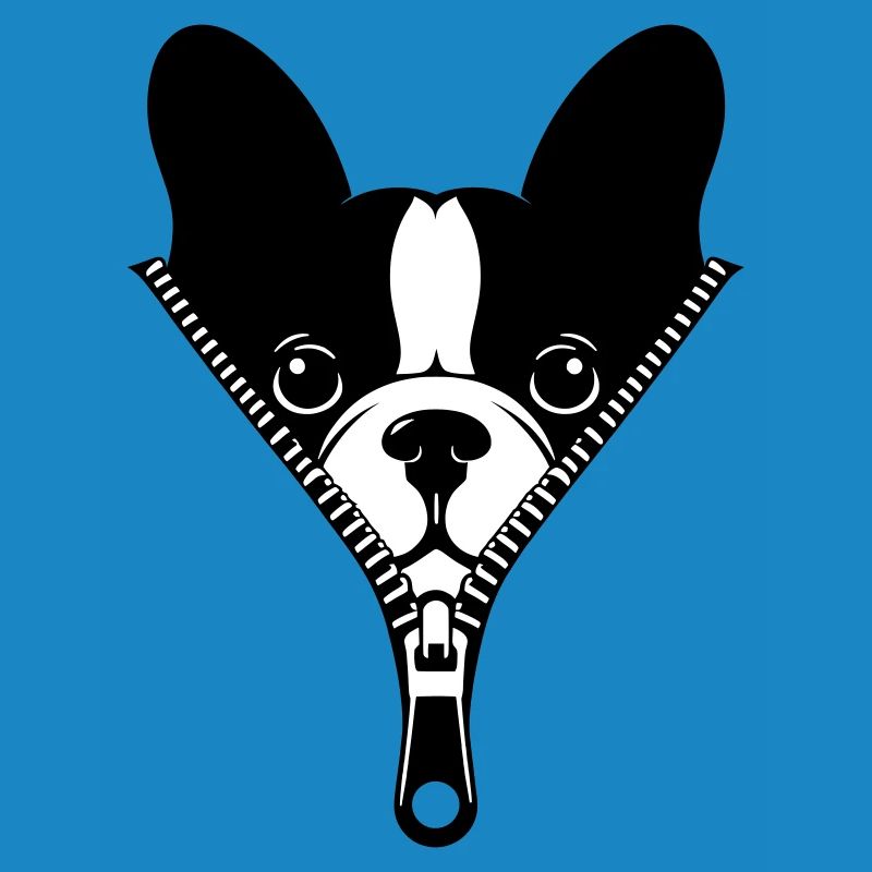 Bouledogue Français dans une fermeture éclair