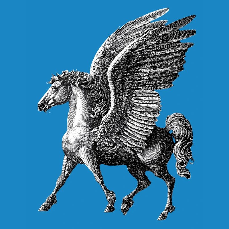Winged Pegasus – Mythological Engraving