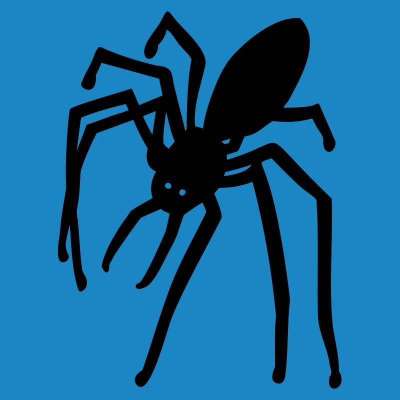 araignée