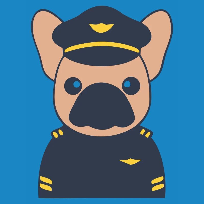 Uniforme de commandant pilote français
