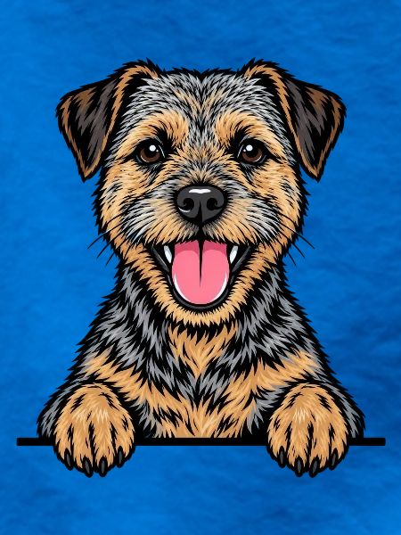 Border Terrier