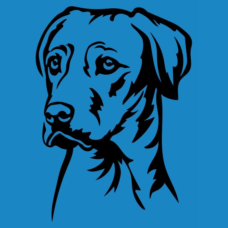 Rhodesian Ridgeback Head