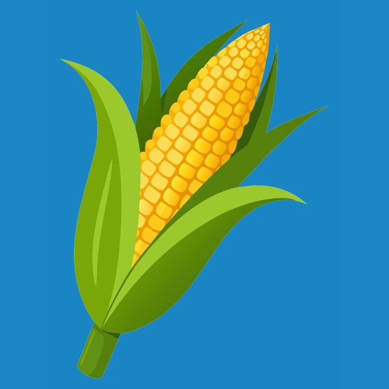 Corn stalk