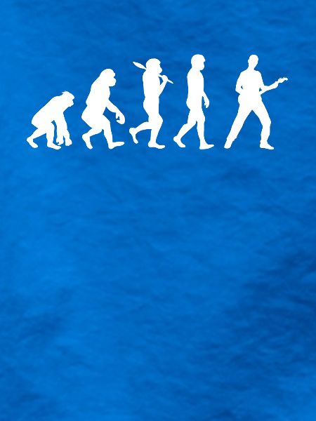Evolution Gitarre Bassist