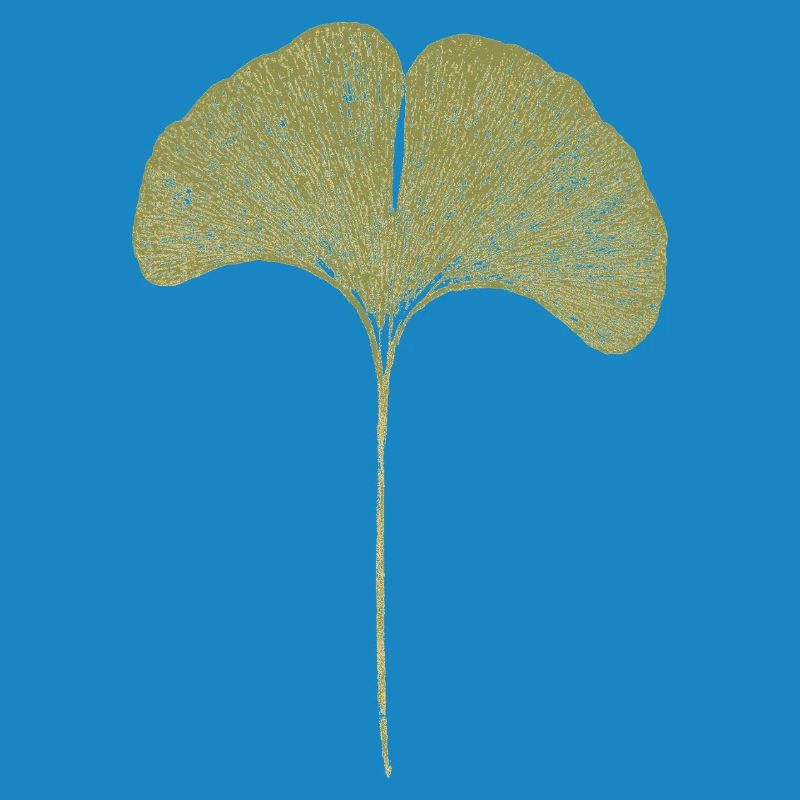Gingko Leaf
