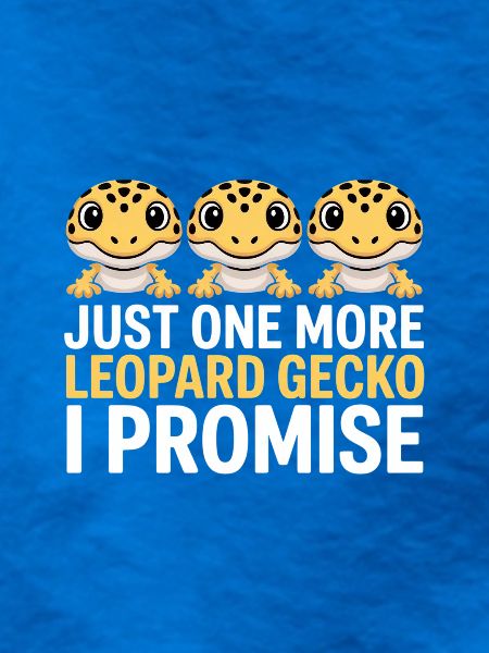Leopardgekko-Trio Versprechen