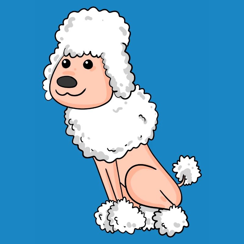 Caniche blanc