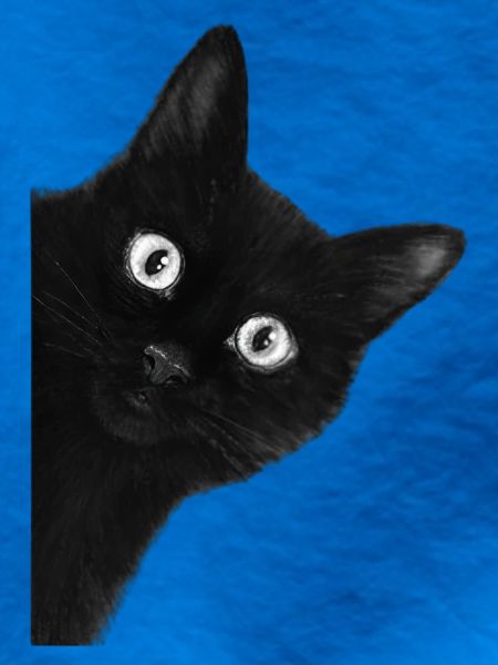 Wackeläugige schwarze Katze