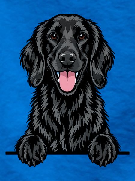Flat Coated Retriever