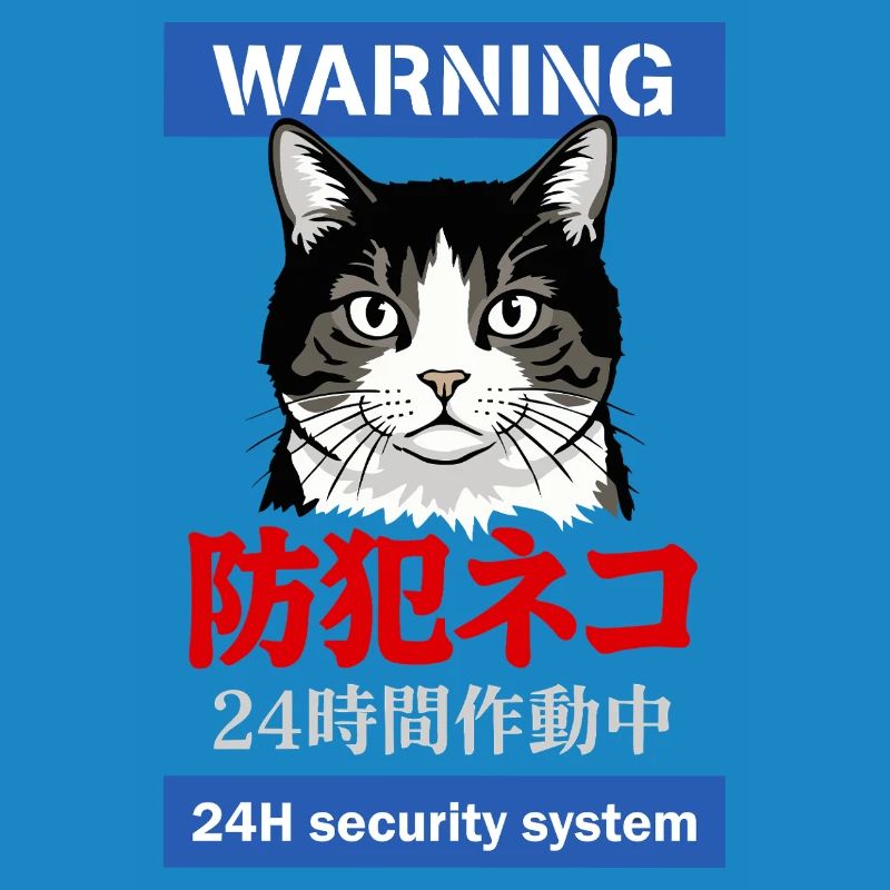24h Security System