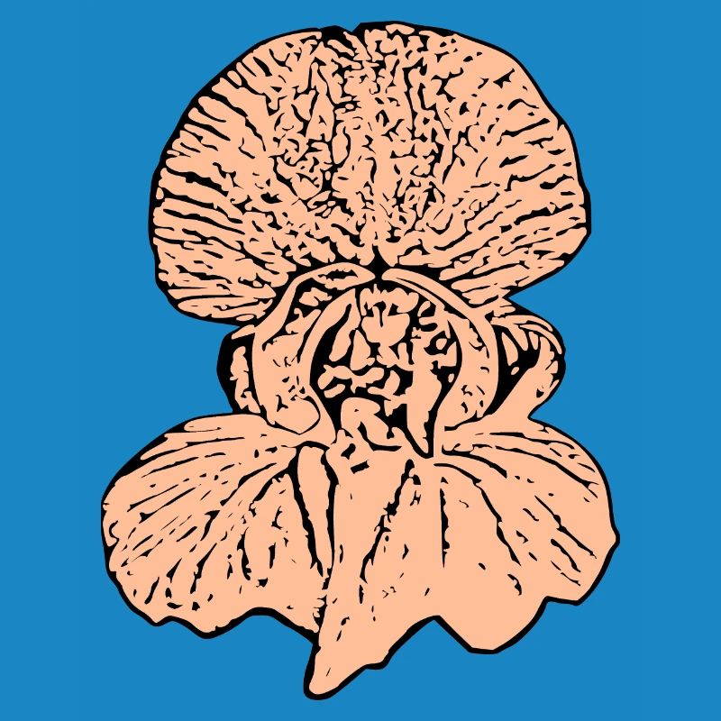 Muttertags Geschenk Mutter Muttertag Geschenkidee 