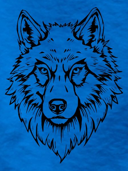 schwarzer Wolf Kopf Gesicht 