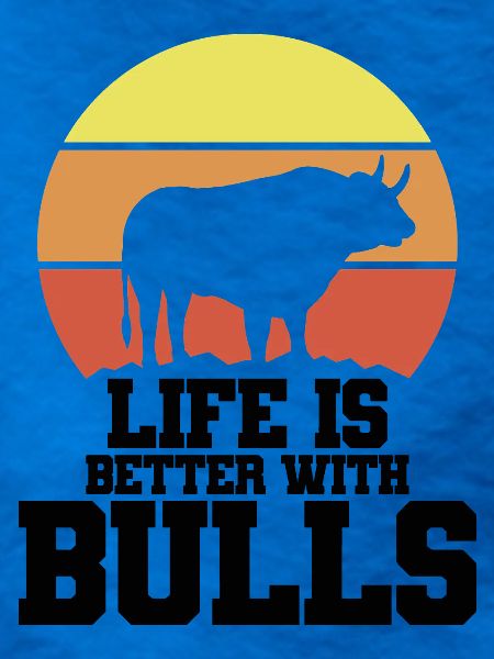Stier Spruch Humor