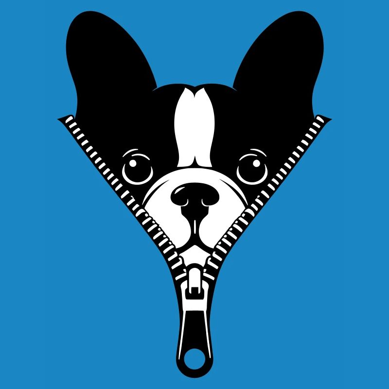 Bouledogue Français dans une fermeture éclair