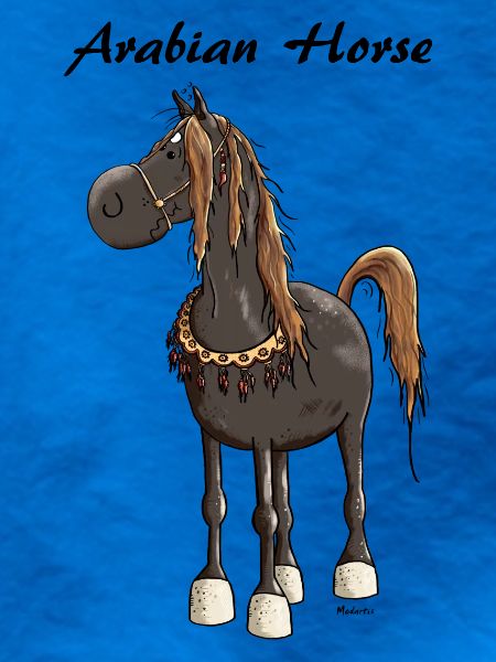Verträumtes Araber Pferd - Araber