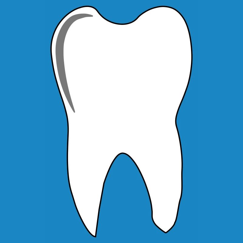 molar tooth