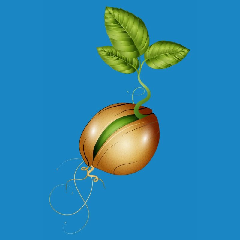 germination de petites graines dans le sol