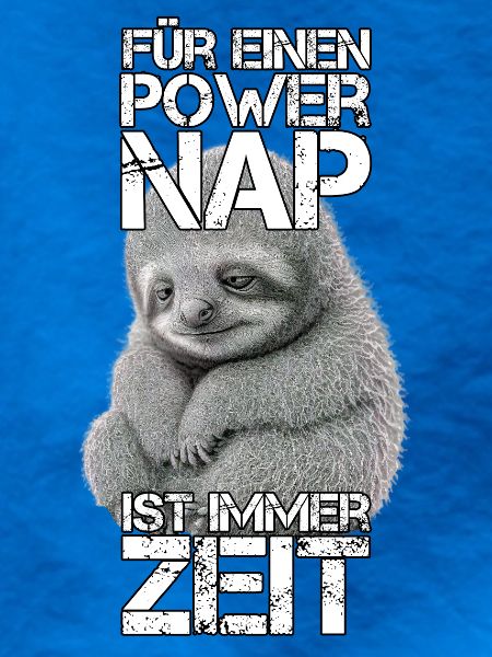 Faultier Power Nap Geschenk