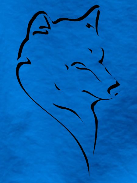 Wolfskopf Linienstudie