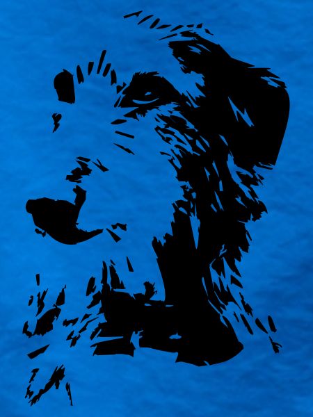 Scottish Deerhound Kopf