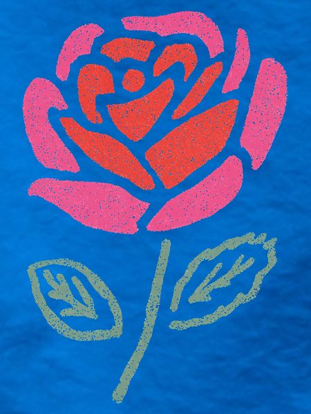 Wasserrose Farbexplosion