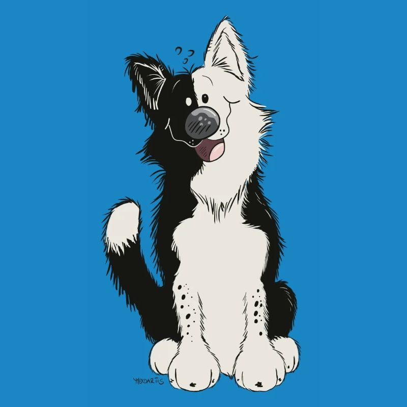 Cute Border Collie