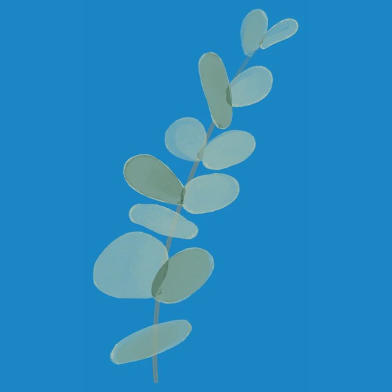 Eucalyptus