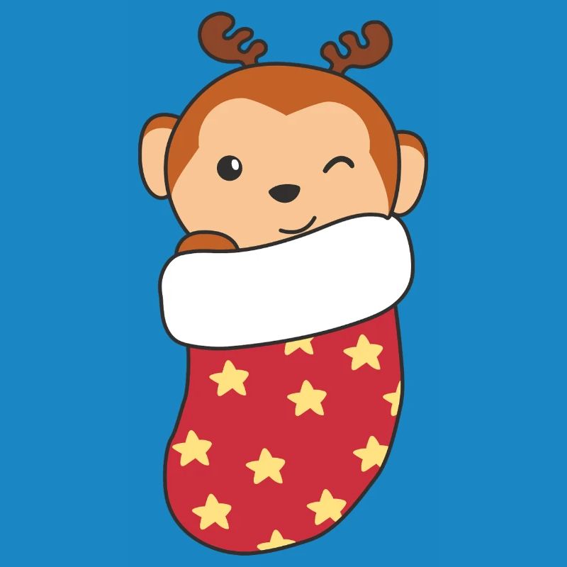 Cute monkey in Christmas sock for Christmas monkey