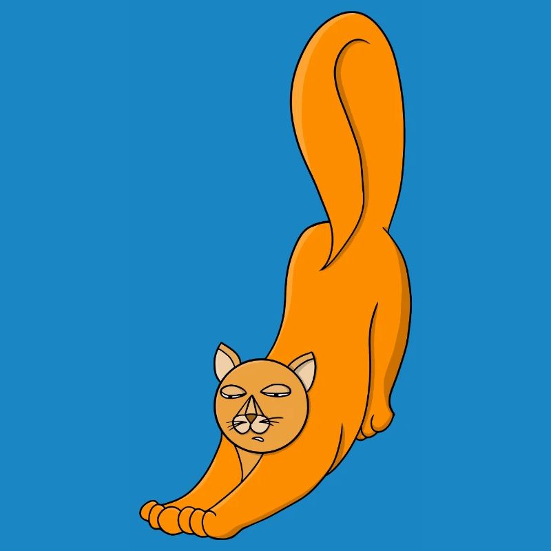 Stretching Orange Cat