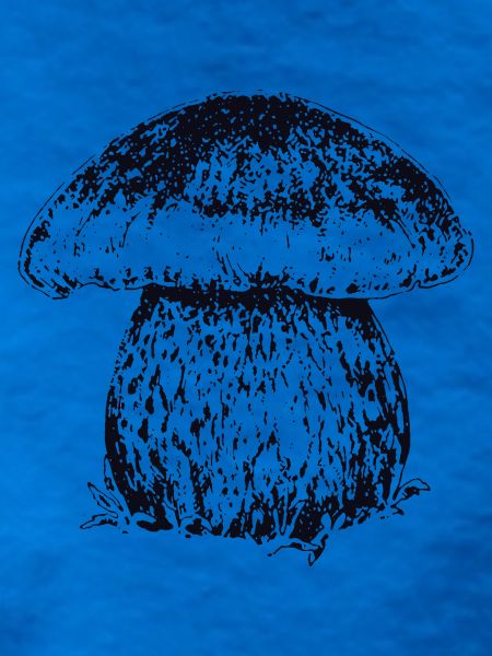 STEINPILZ