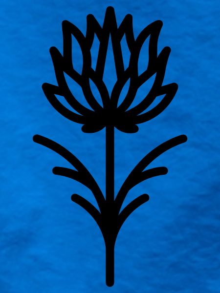 Distelblüte