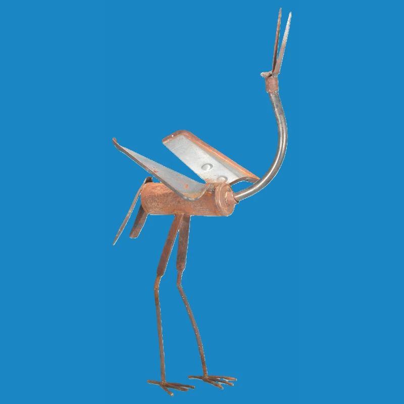 bird