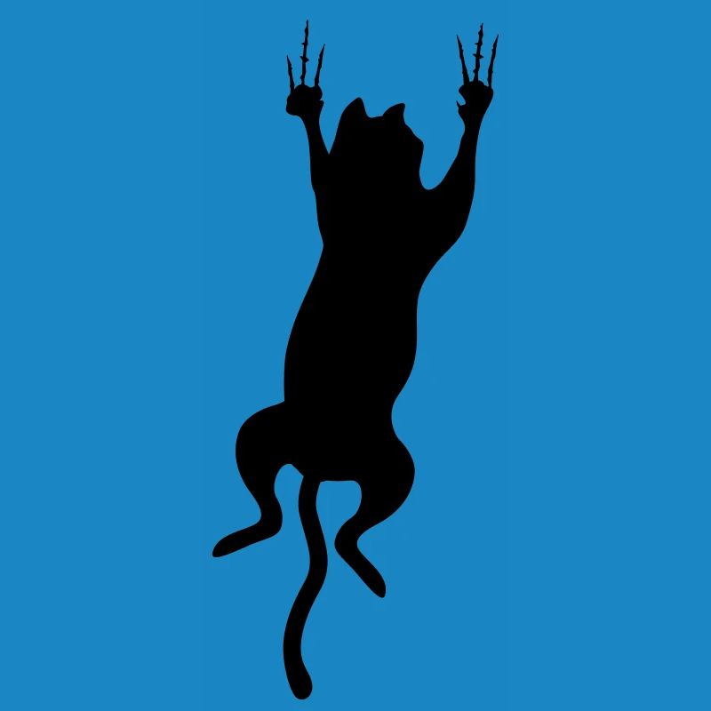 cat scratch