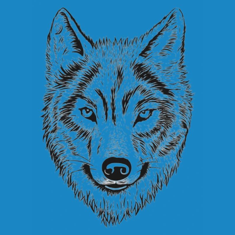 Dessin au trait de Wolfenkopf