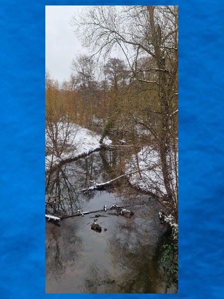 Winterfluss im Nebel