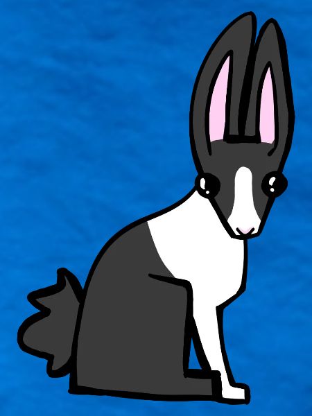 Noir Rabbit