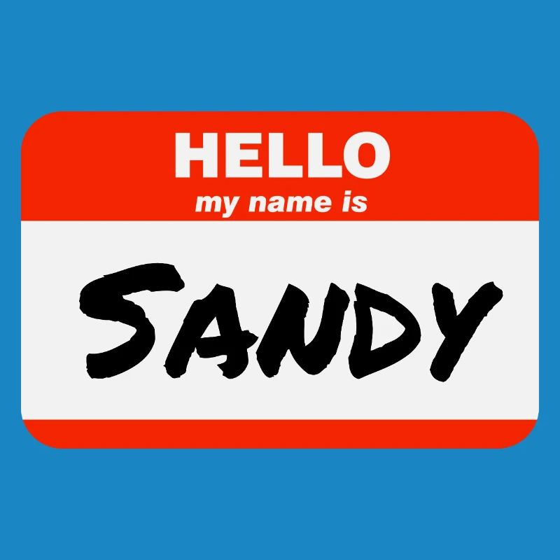 Hello My Name Is Sandy Label Name Tag