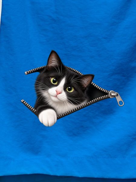 Tuxedo Cat