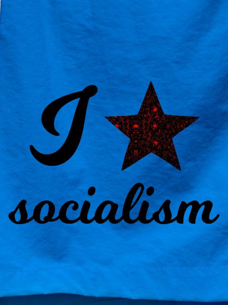 Der Sozialismus