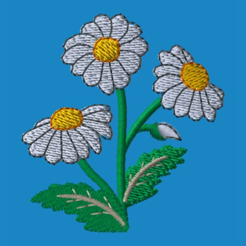Gänseblümchen