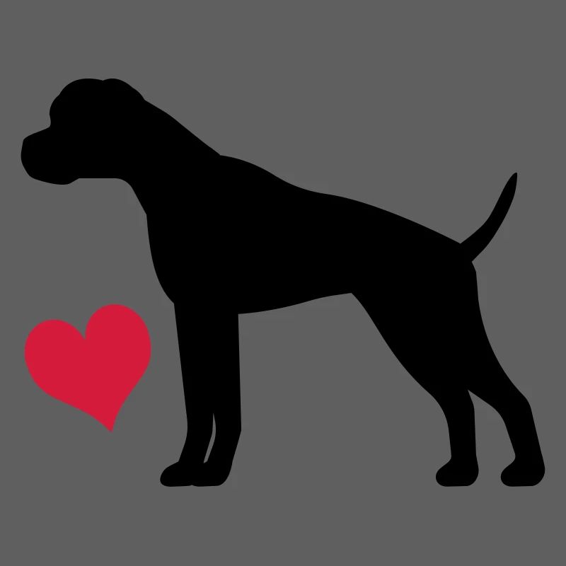 Boxer